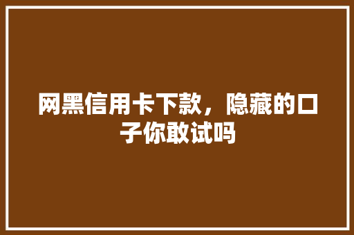 网黑信用卡下款，隐藏的口子你敢试吗