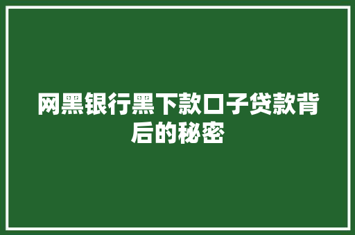 网黑银行黑下款口子贷款背后的秘密