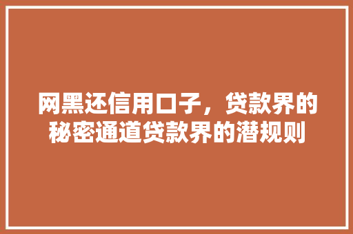 网黑还信用口子，贷款界的秘密通道贷款界的潜规则