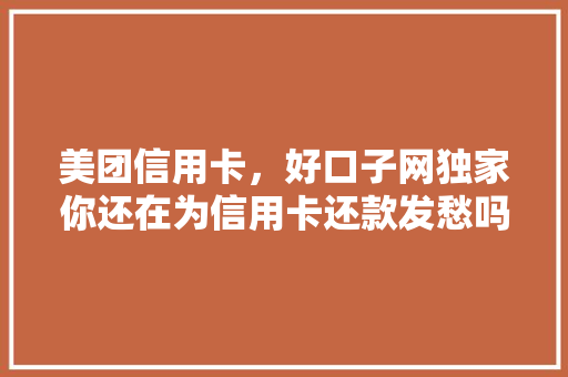 美团信用卡，好口子网独家你还在为信用卡还款发愁吗