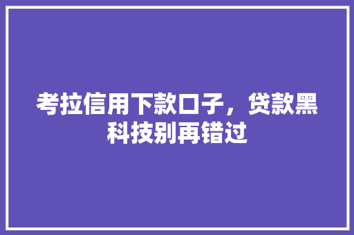 考拉信用下款口子，贷款黑科技别再错过