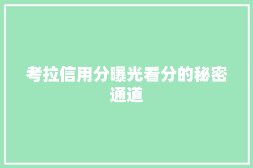 考拉信用分曝光看分的秘密通道