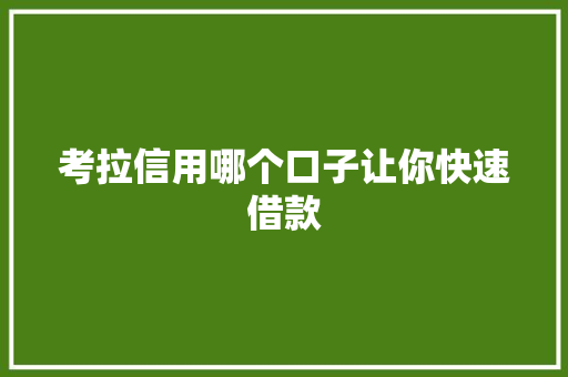 考拉信用哪个口子让你快速借款