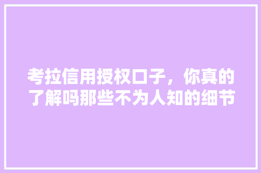 考拉信用授权口子，你真的了解吗那些不为人知的细节