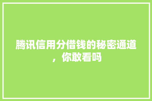 腾讯信用分借钱的秘密通道，你敢看吗