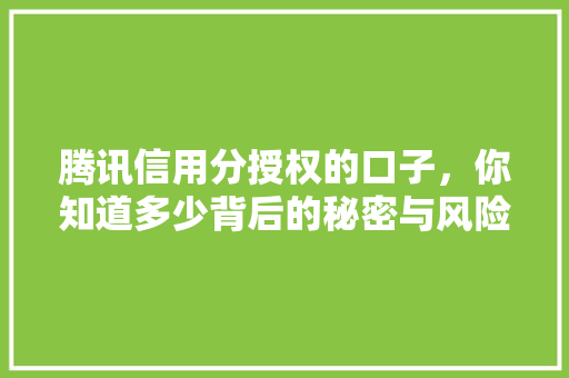 腾讯信用分授权的口子，你知道多少背后的秘密与风险