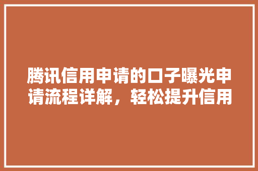 腾讯信用申请的口子曝光申请流程详解，轻松提升信用额度  第1张