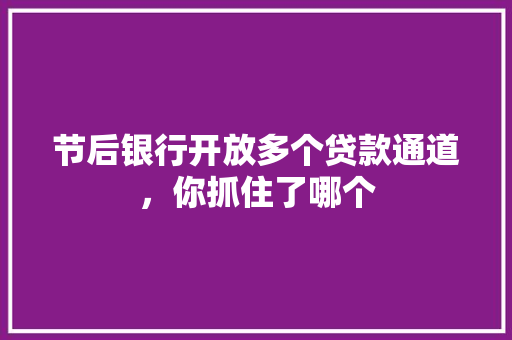 节后银行开放多个贷款通道，你抓住了哪个