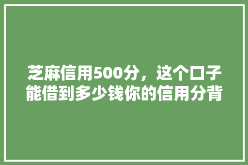 芝麻信用500分，这个口子能借到多少钱你的信用分背后秘密