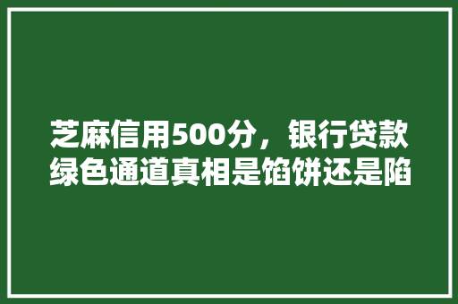 芝麻信用500分，银行贷款绿色通道真相是馅饼还是陷阱