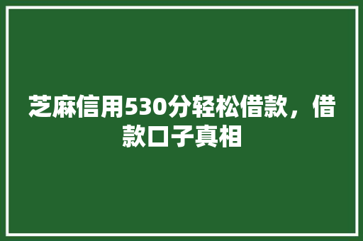 芝麻信用530分轻松借款，借款口子真相