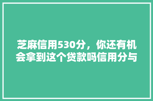 芝麻信用530分，你还有机会拿到这个贷款吗信用分与贷款之间的关系