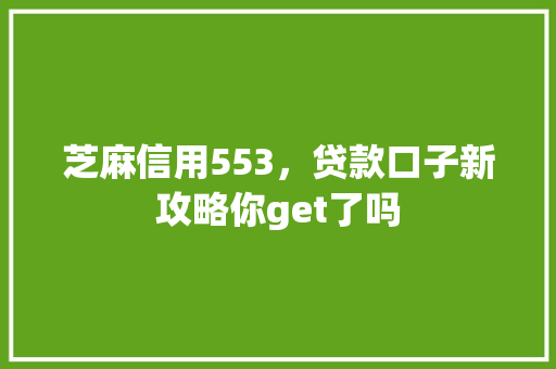 芝麻信用553，贷款口子新攻略你get了吗