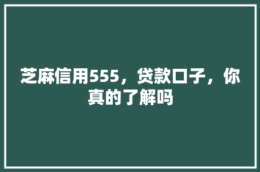 芝麻信用555，贷款口子，你真的了解吗