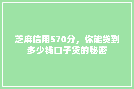 芝麻信用570分，你能贷到多少钱口子贷的秘密