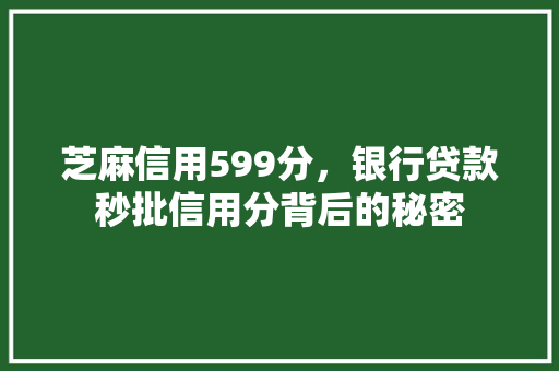 芝麻信用599分，银行贷款秒批信用分背后的秘密