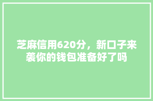 芝麻信用620分，新口子来袭你的钱包准备好了吗