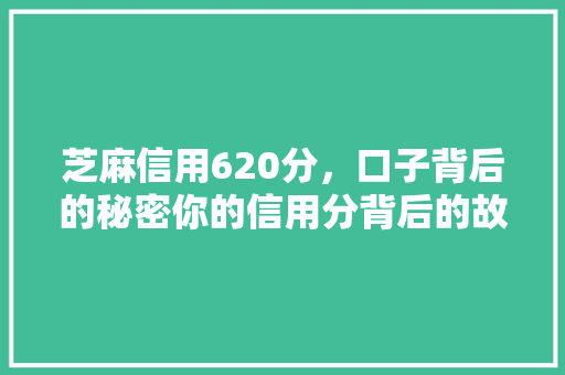 芝麻信用620分，口子背后的秘密你的信用分背后的故事