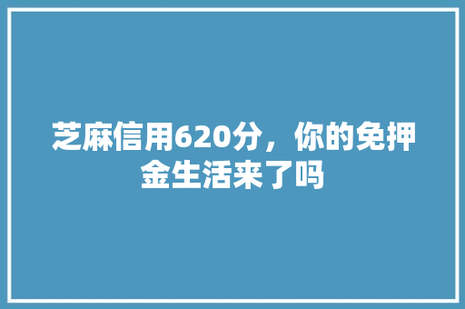 芝麻信用620分，你的免押金生活来了吗