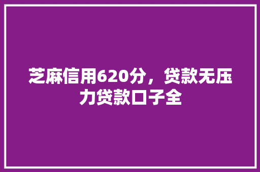 芝麻信用620分，贷款无压力贷款口子全