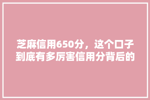 芝麻信用650分，这个口子到底有多厉害信用分背后的秘密