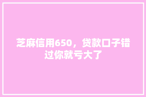 芝麻信用650，贷款口子错过你就亏大了