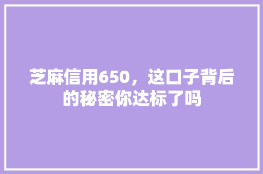 芝麻信用650，这口子背后的秘密你达标了吗