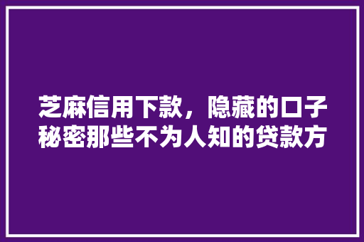 芝麻信用下款，隐藏的口子秘密那些不为人知的贷款方法