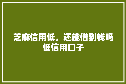 芝麻信用低，还能借到钱吗低信用口子