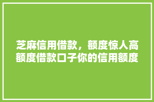 芝麻信用借款，额度惊人高额度借款口子你的信用额度