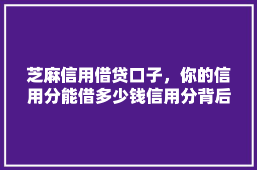 芝麻信用借贷口子，你的信用分能借多少钱信用分背后的秘密