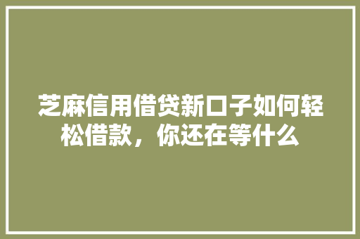芝麻信用借贷新口子如何轻松借款，你还在等什么  第1张