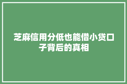 芝麻信用分低也能借小贷口子背后的真相