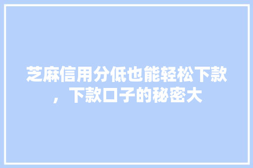 芝麻信用分低也能轻松下款，下款口子的秘密大