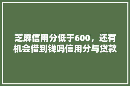 芝麻信用分低于600，还有机会借到钱吗信用分与贷款之间的微妙关系  第1张