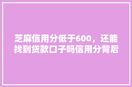 芝麻信用分低于600，还能找到贷款口子吗信用分背后的贷款之路