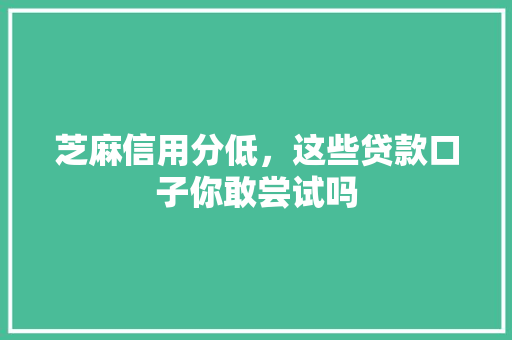 芝麻信用分低，这些贷款口子你敢尝试吗  第1张