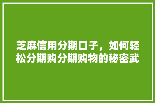 芝麻信用分期口子，如何轻松分期购分期购物的秘密武器