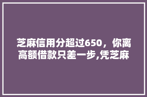 芝麻信用分超过650，你离高额借款只差一步,凭芝麻信用分借款的口子全