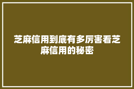 芝麻信用到底有多厉害看芝麻信用的秘密