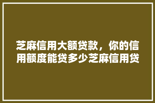 芝麻信用大额贷款，你的信用额度能贷多少芝麻信用贷款额度方法