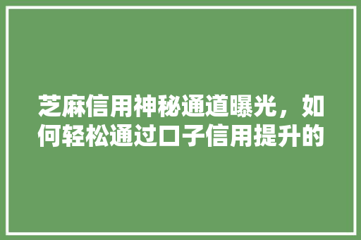 芝麻信用神秘通道曝光，如何轻松通过口子信用提升的秘密武器