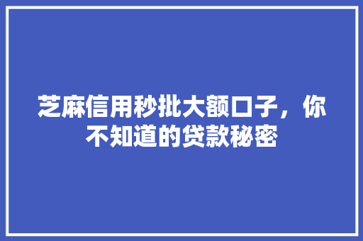 芝麻信用秒批大额口子，你不知道的贷款秘密
