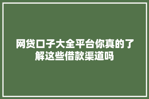 网贷口子大全平台你真的了解这些借款渠道吗