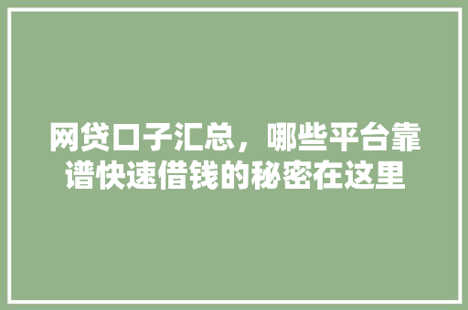 网贷口子汇总，哪些平台靠谱快速借钱的秘密在这里