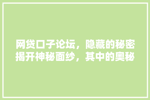 网贷口子论坛，隐藏的秘密揭开神秘面纱，其中的奥秘