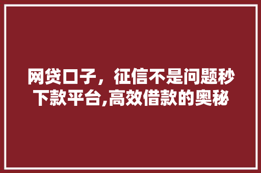 网贷口子，征信不是问题秒下款平台,高效借款的奥秘