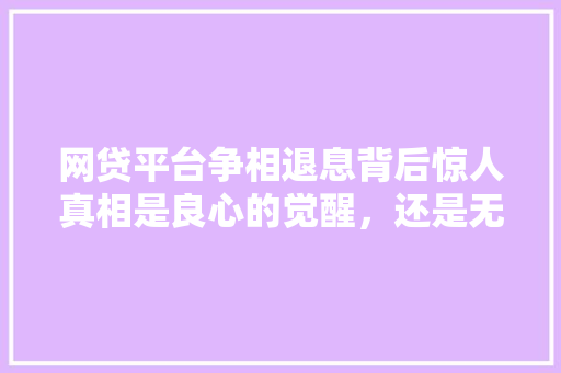 网贷平台争相退息背后惊人真相是良心的觉醒，还是无奈的自救