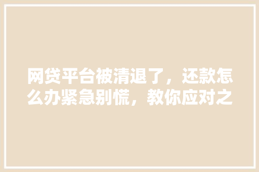 网贷平台被清退了，还款怎么办紧急别慌，教你应对之策