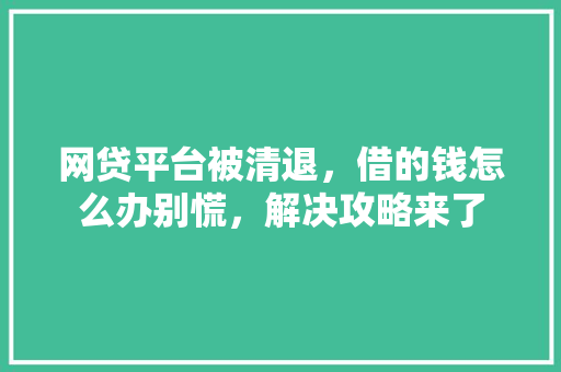 网贷平台被清退，借的钱怎么办别慌，解决攻略来了